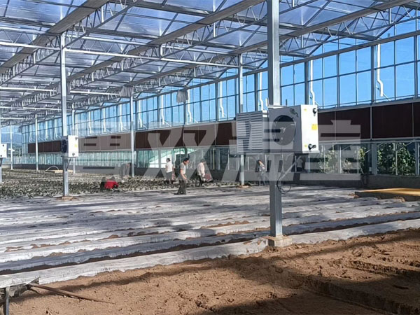 mmexport1601129809719