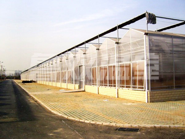 阳光板（PC板 ）温室