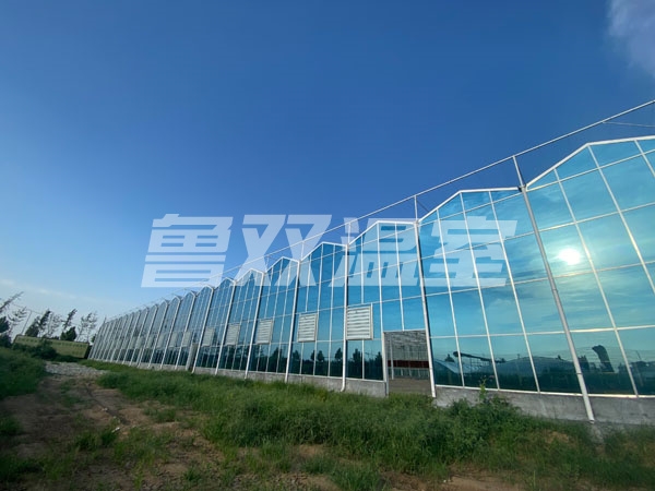 微信图片_20220211172510